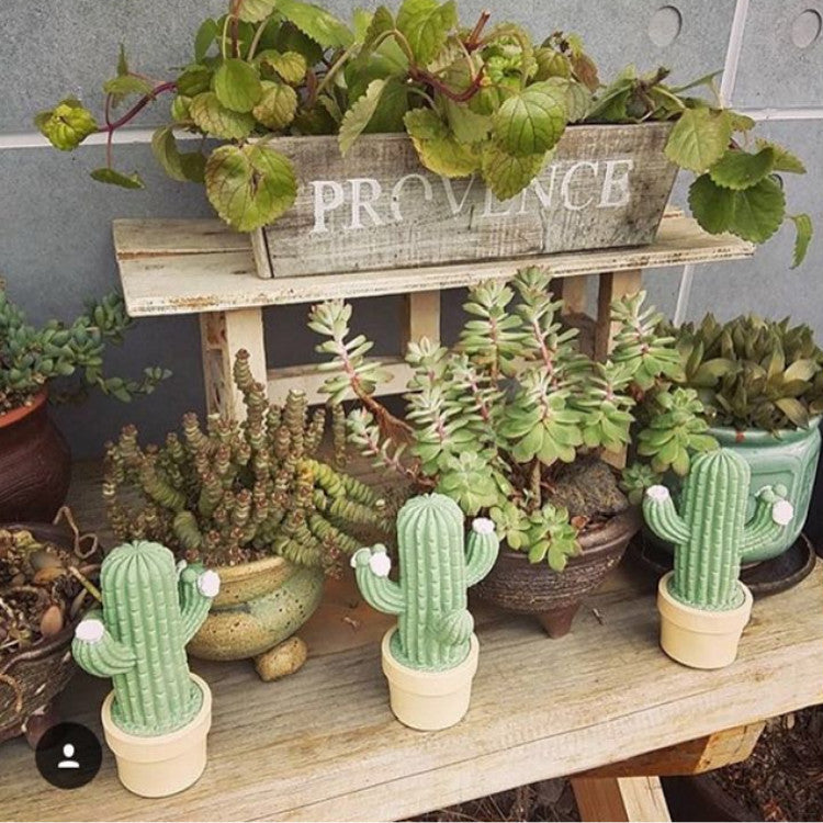 Creative Cactus LED Night Light for Room Decor