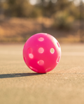 Outdoor Pickleball | 40 & 26 Hole Balls