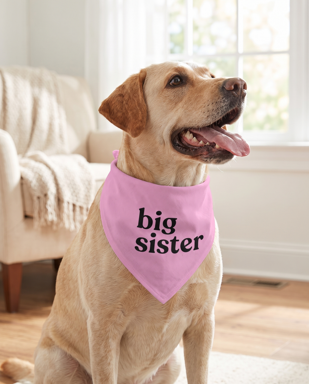 vercosee Big Sister Dog BandanaBaby Announcement Dog BandanaGender RevealPet Scarf Pet Accessories for Photo Props Accessories (Pink)