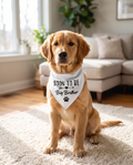 Soon to Be Big Brother Dog Bandana Pregnancy Announcement Dog Bandana Pet Scarf Pet Accessories for Pet Dog Lover Pregnancy Reveal Ideas